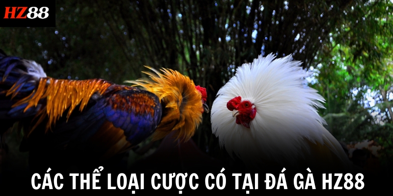 Các thể loại cược có tại đá gà HZ88
